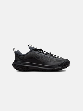Heavy Stride Calm Grey ACG Mountain Fly 2 Low GORE-TEX "Dark Smoke Grey"