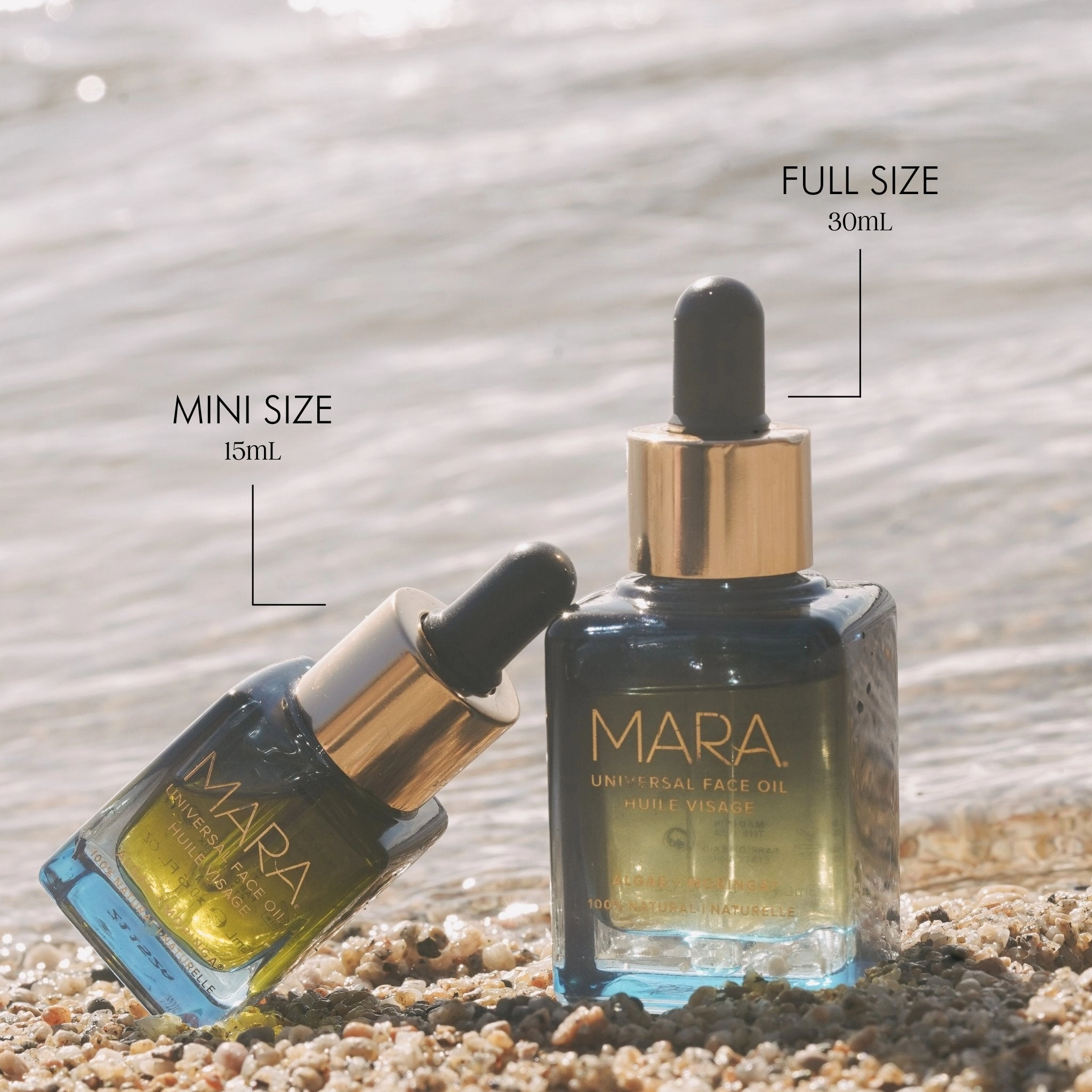 Algae   Moringa Universal Face Oil