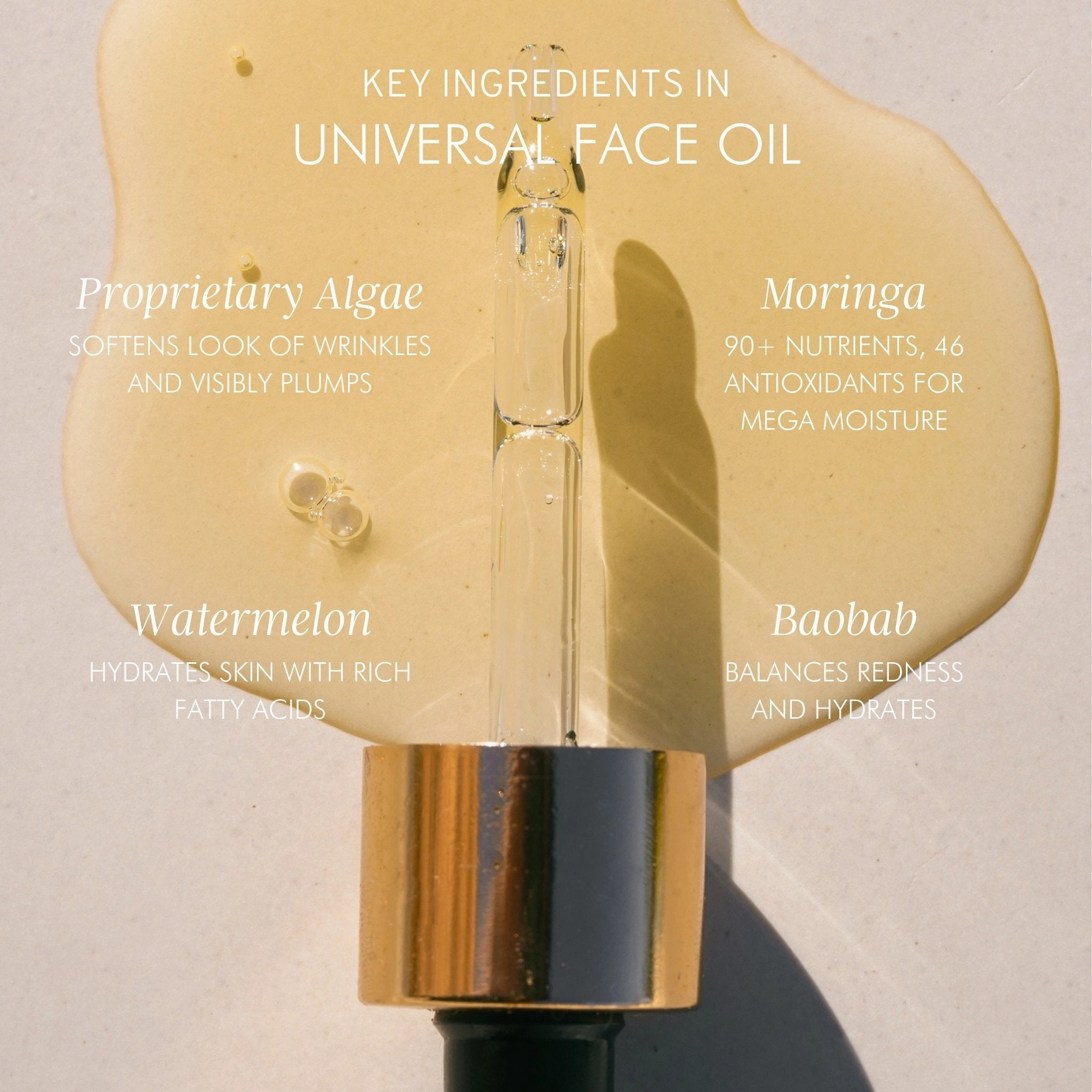 Algae   Moringa Universal Face Oil