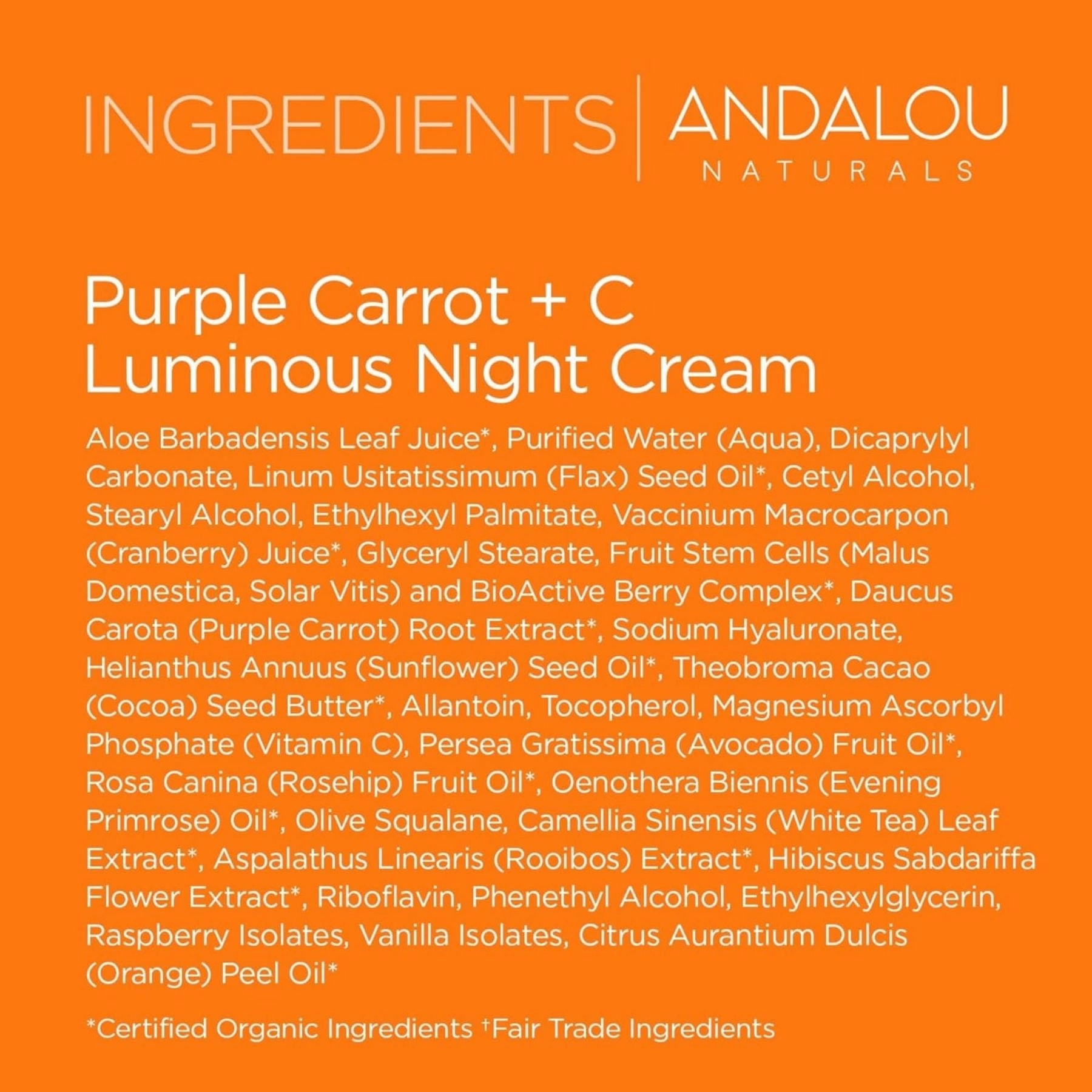 Andalou Brightening Purple Carrot   Vitamin C Luminous Night Cream 50g