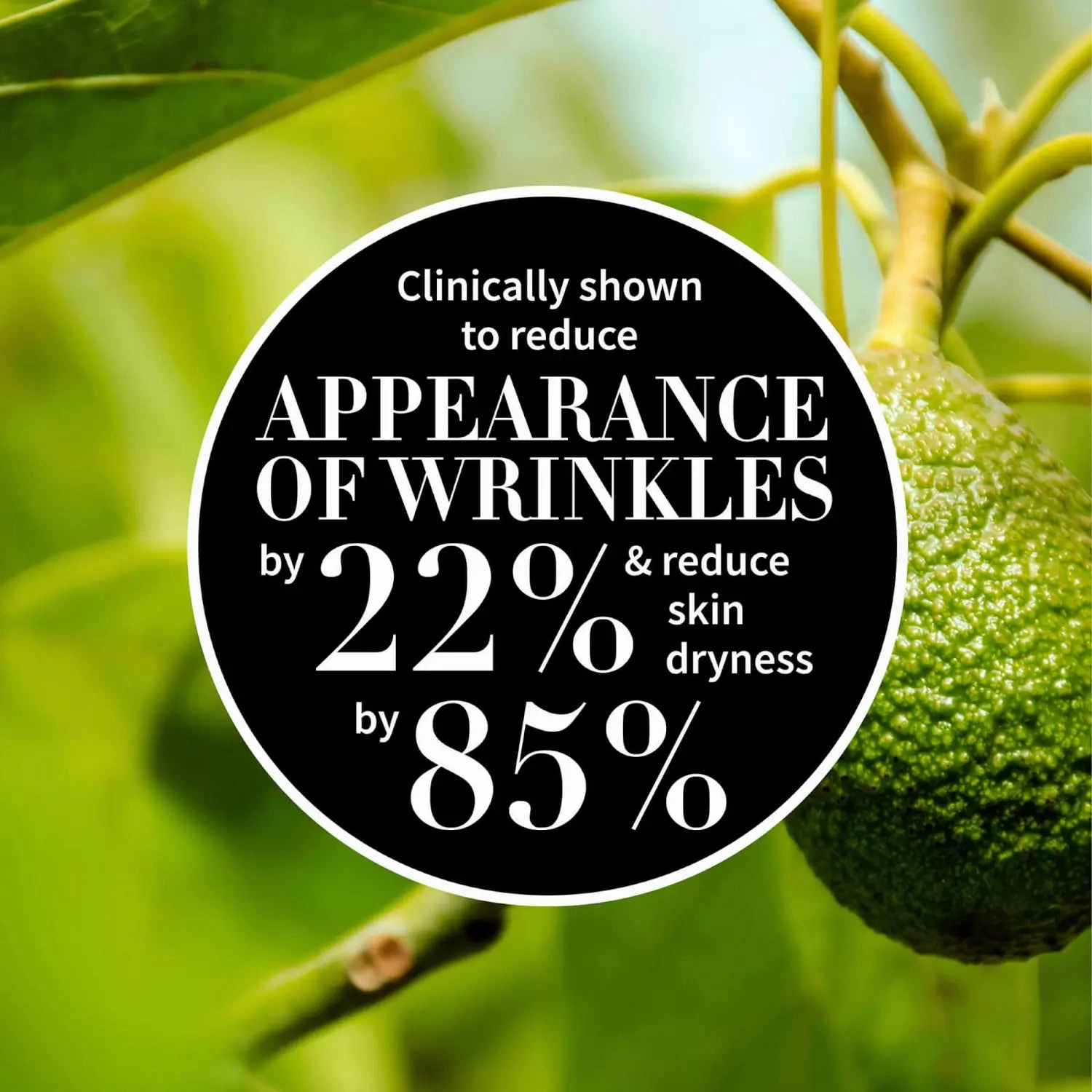 Antipodes Avocado Pear Nourish Night Cream 60ml