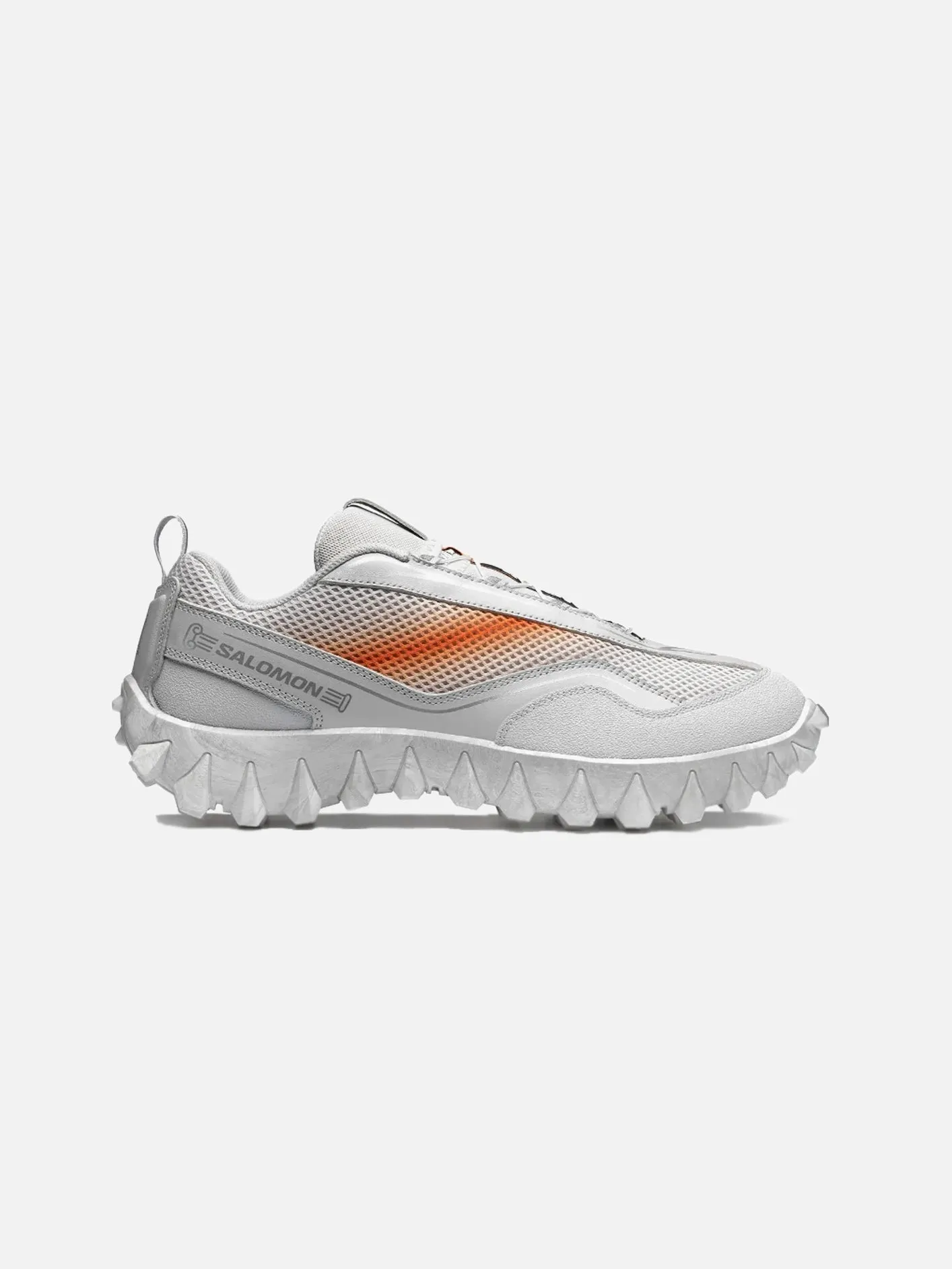 Comfortable Step Dog Pace ARIES x Salomon Snowclog "Lunar Rock"