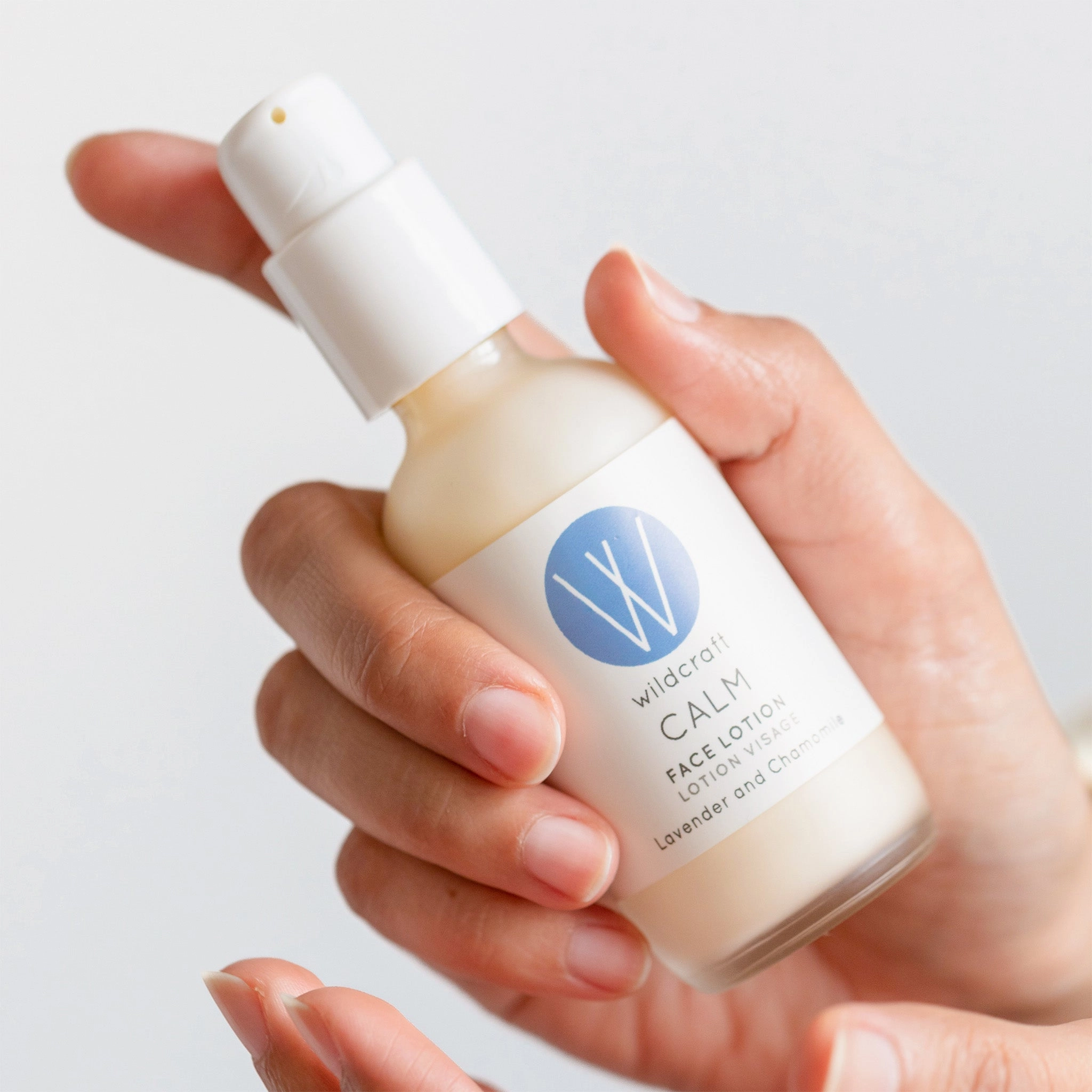 Calm Face Lotion