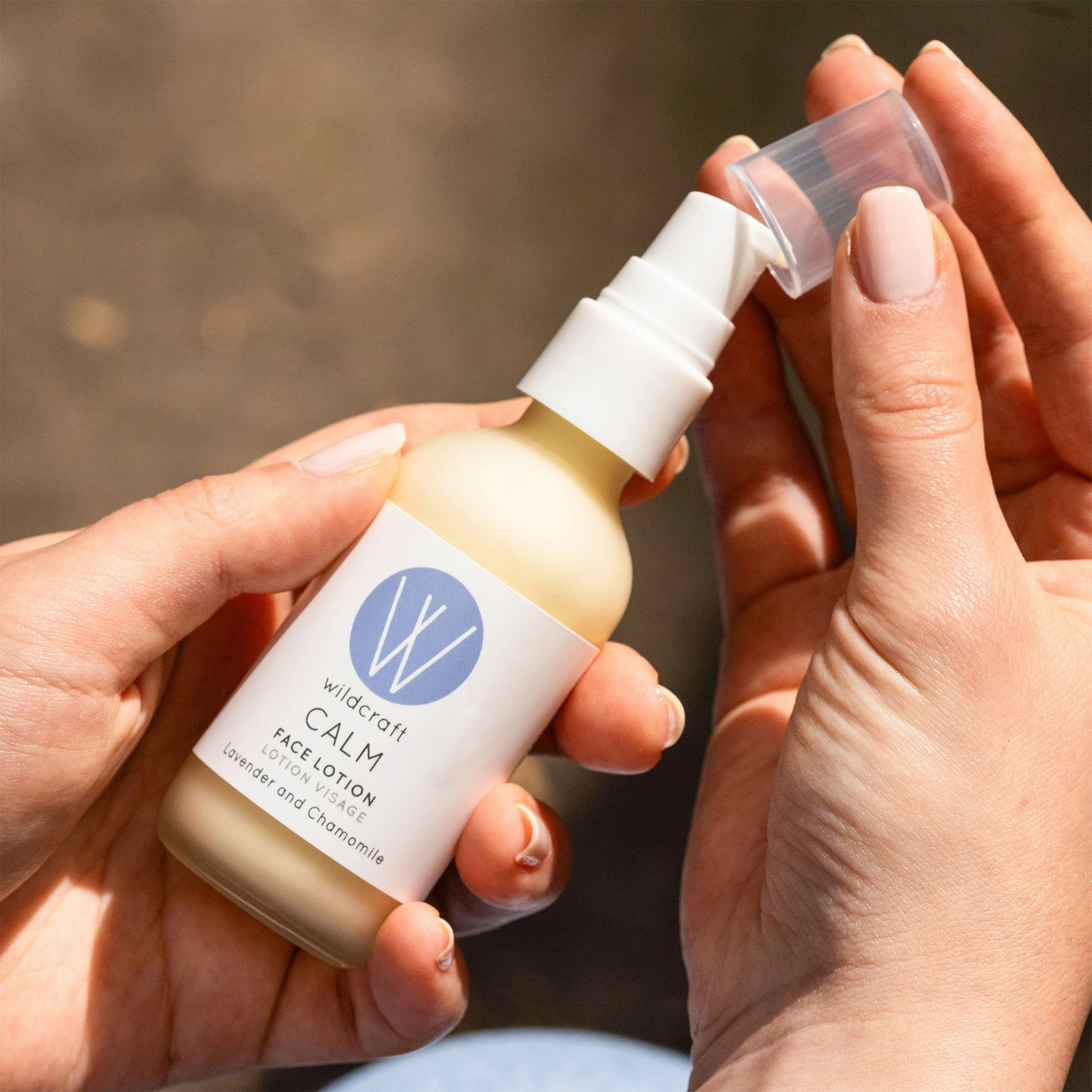 Calm Face Lotion