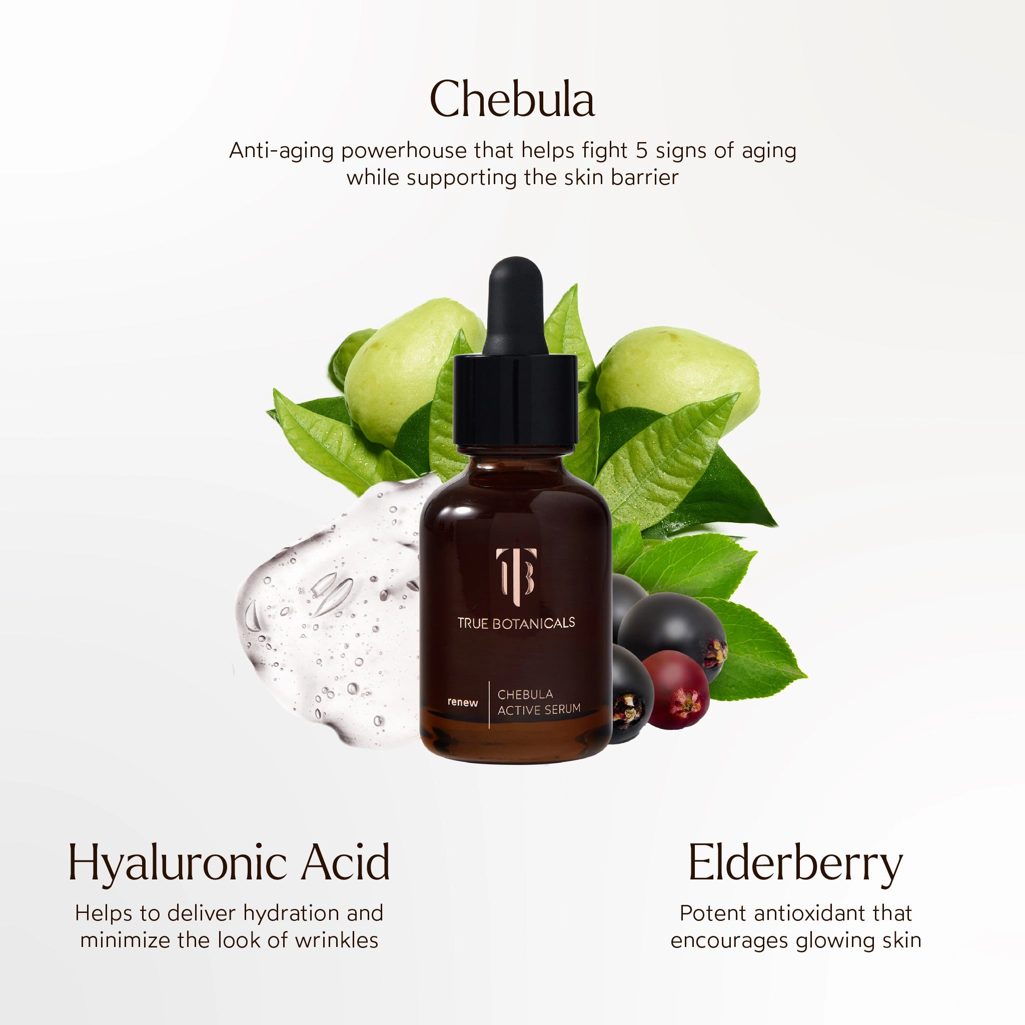 Chebula Active Anti-Aging Serum