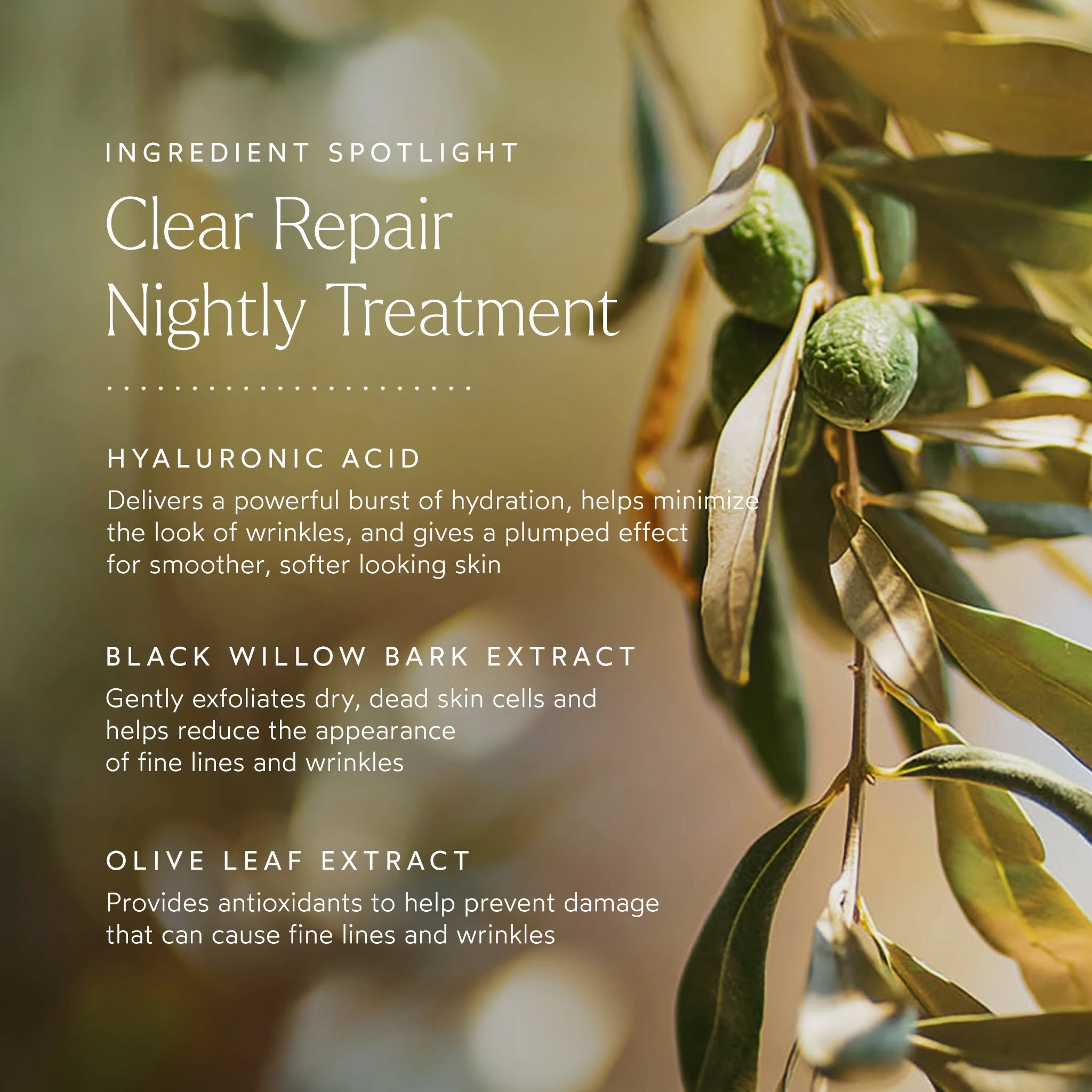 CLEAR Repair Nightly Treatment
