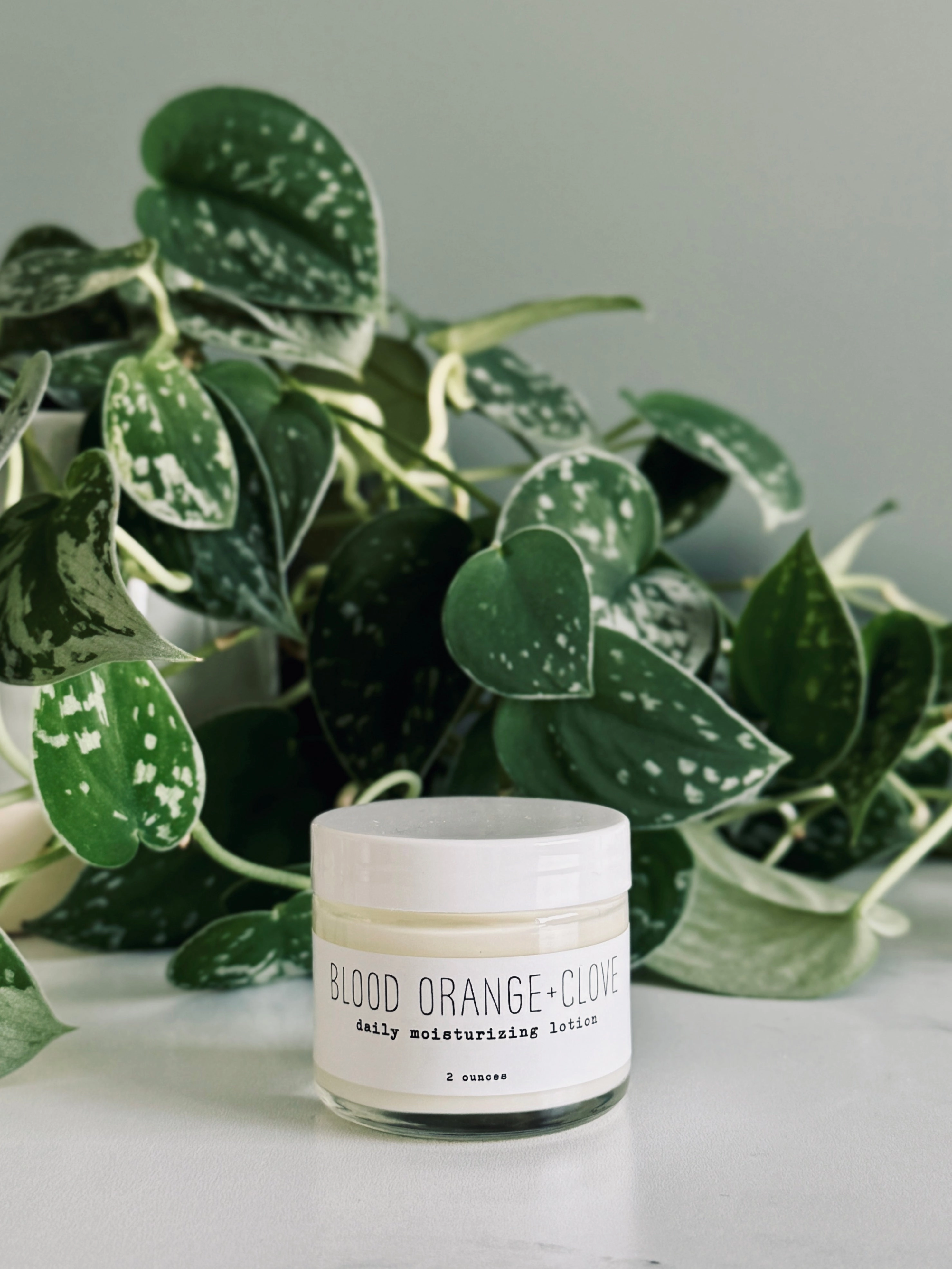 Daily Moisturizing Lotion - Seasonal - 2oz