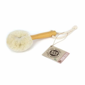 Dry face brush