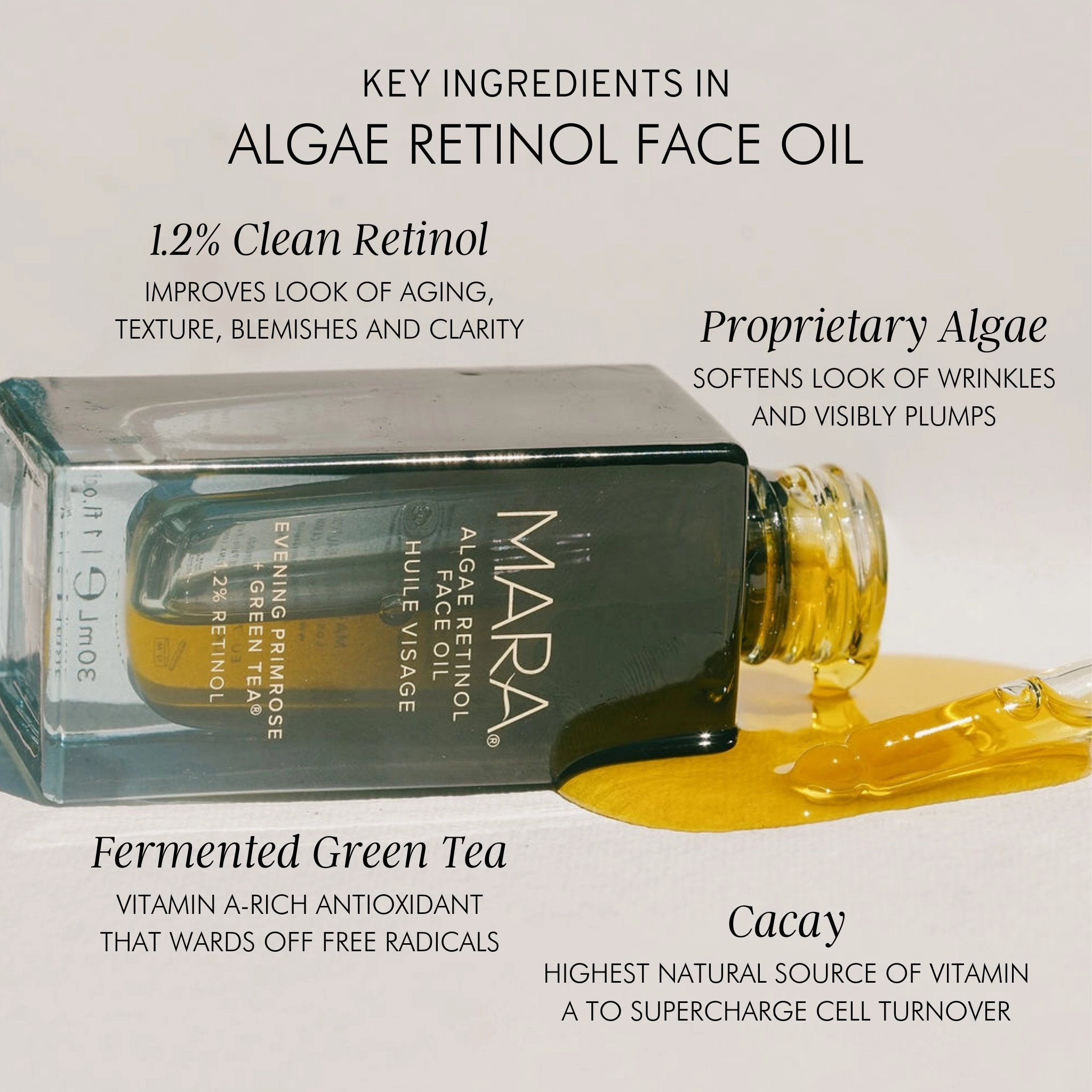 Evening Primrose   Green Tea Algae Retinol Face Oil