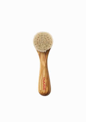 Face Brush