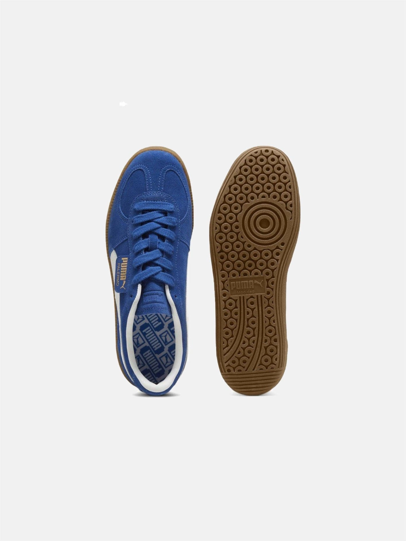 Flex Dash Palermo "Cobalt Glaze/White"