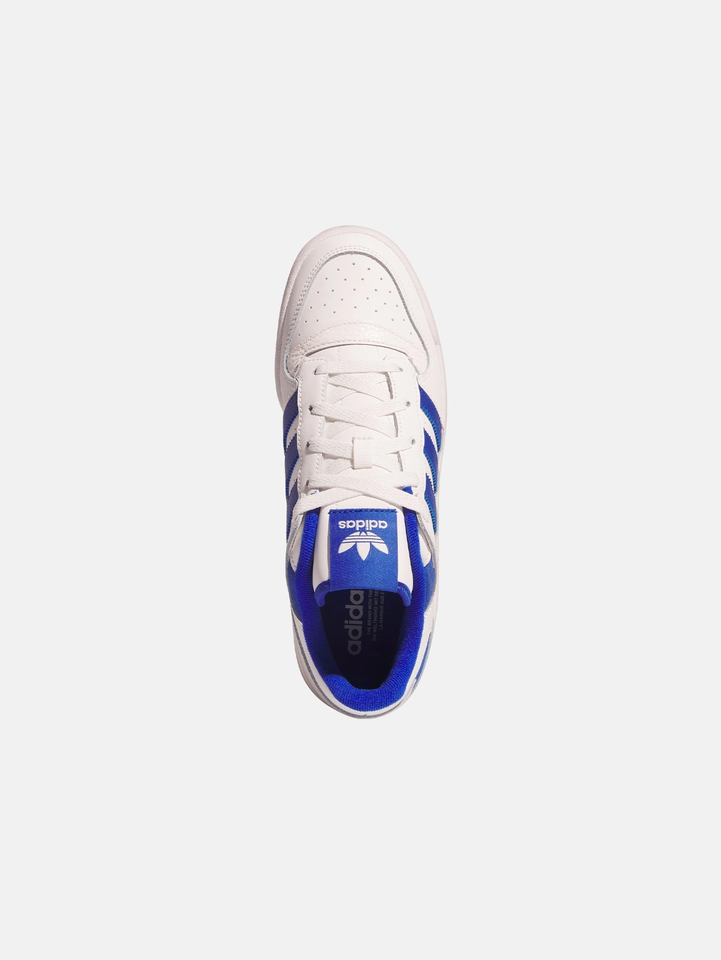 Flexible Step-On Glide Layer Forum Low CL "Core White/Royal Blue"