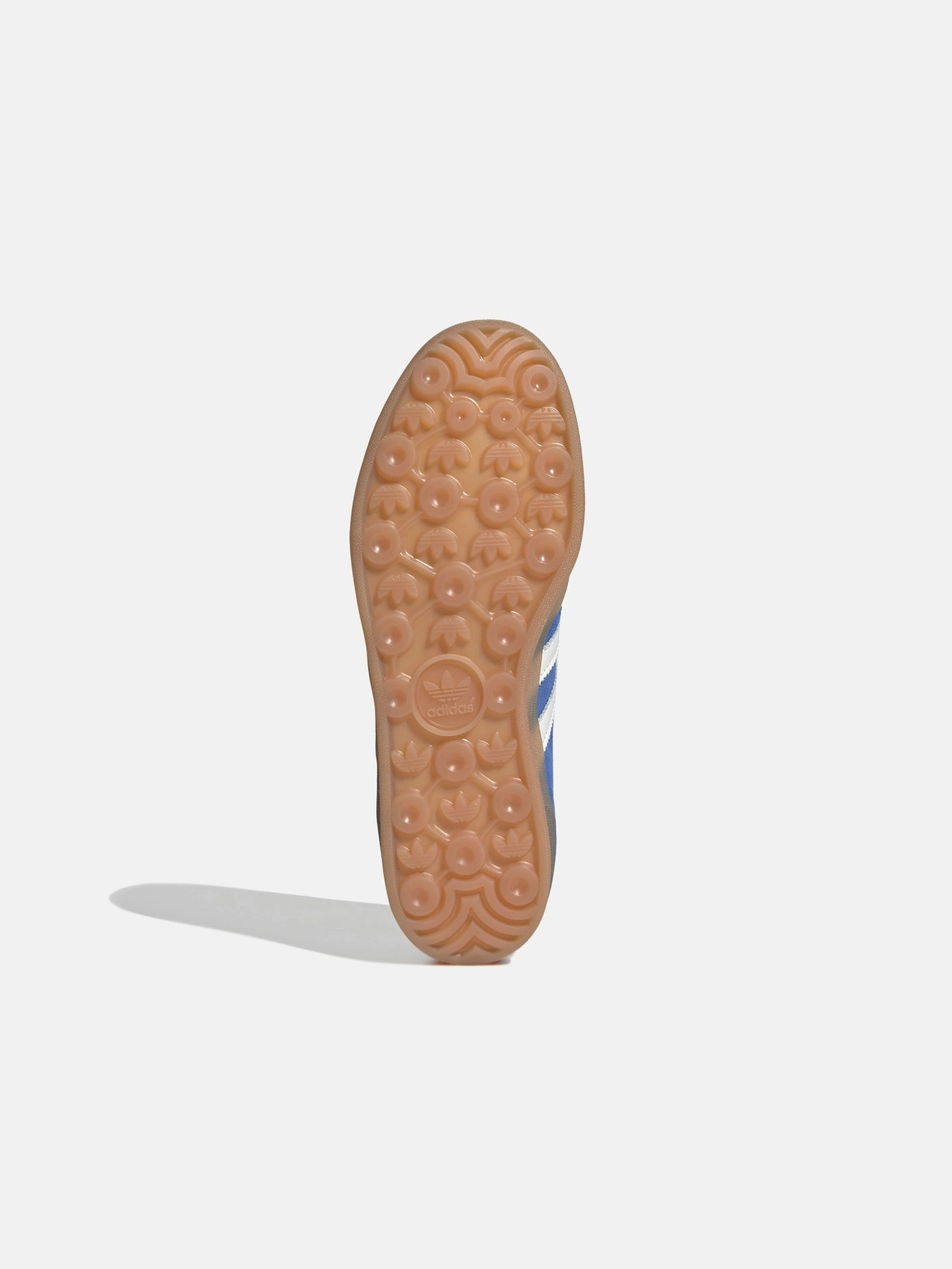 Gazelle Indoor Pro "Blue" Flexible Walk-Step-In
