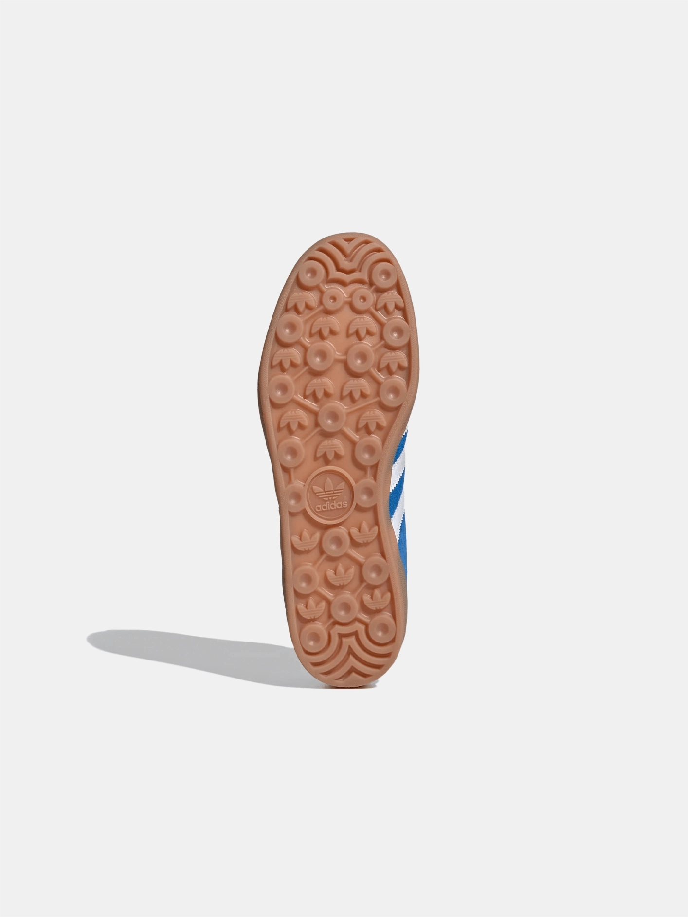 Gazelle Indoor "Blue Bird" Smooth ride