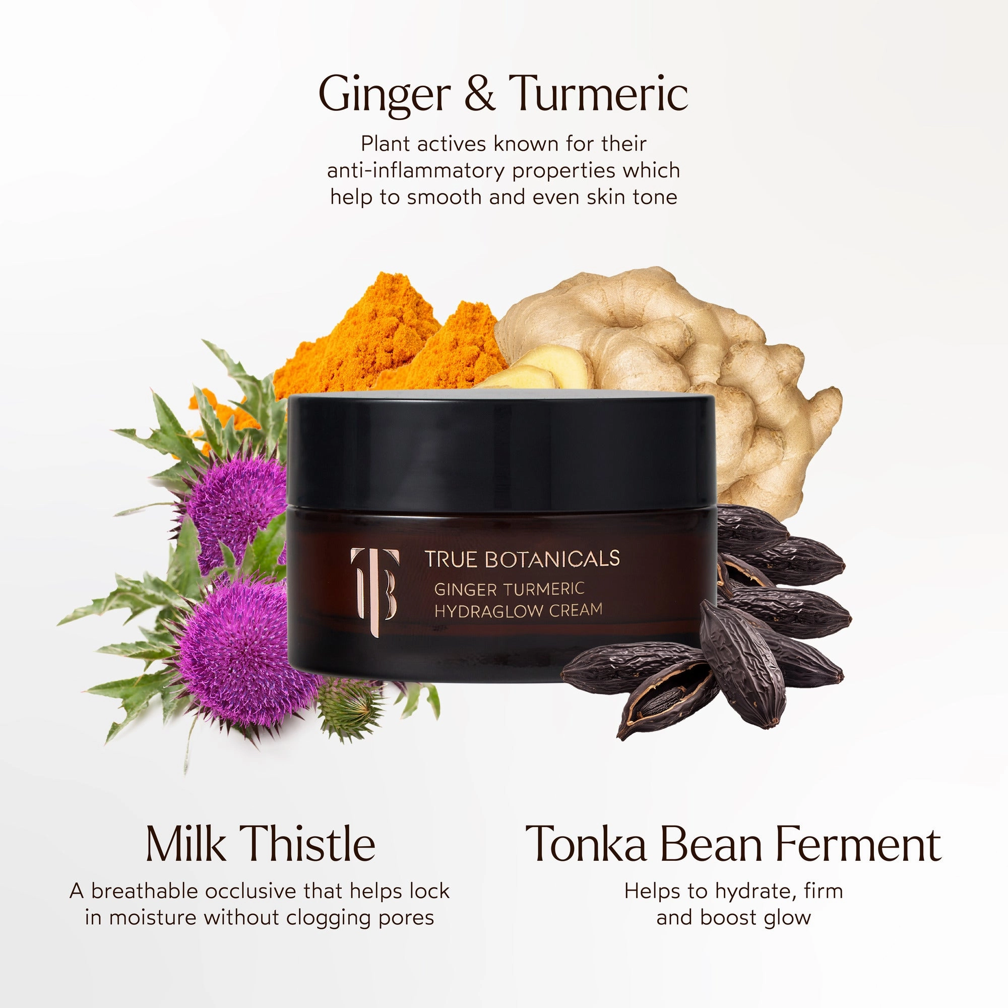 Ginger Turmeric Hydraglow Cream