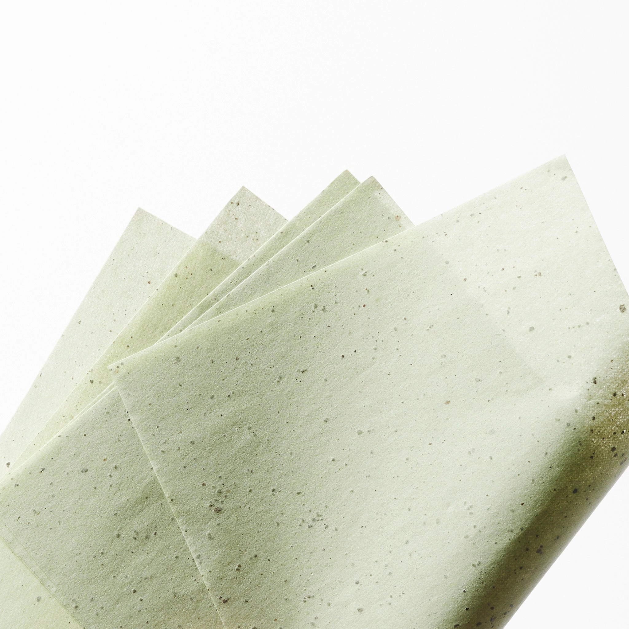 Green Tea Oil Control Paper