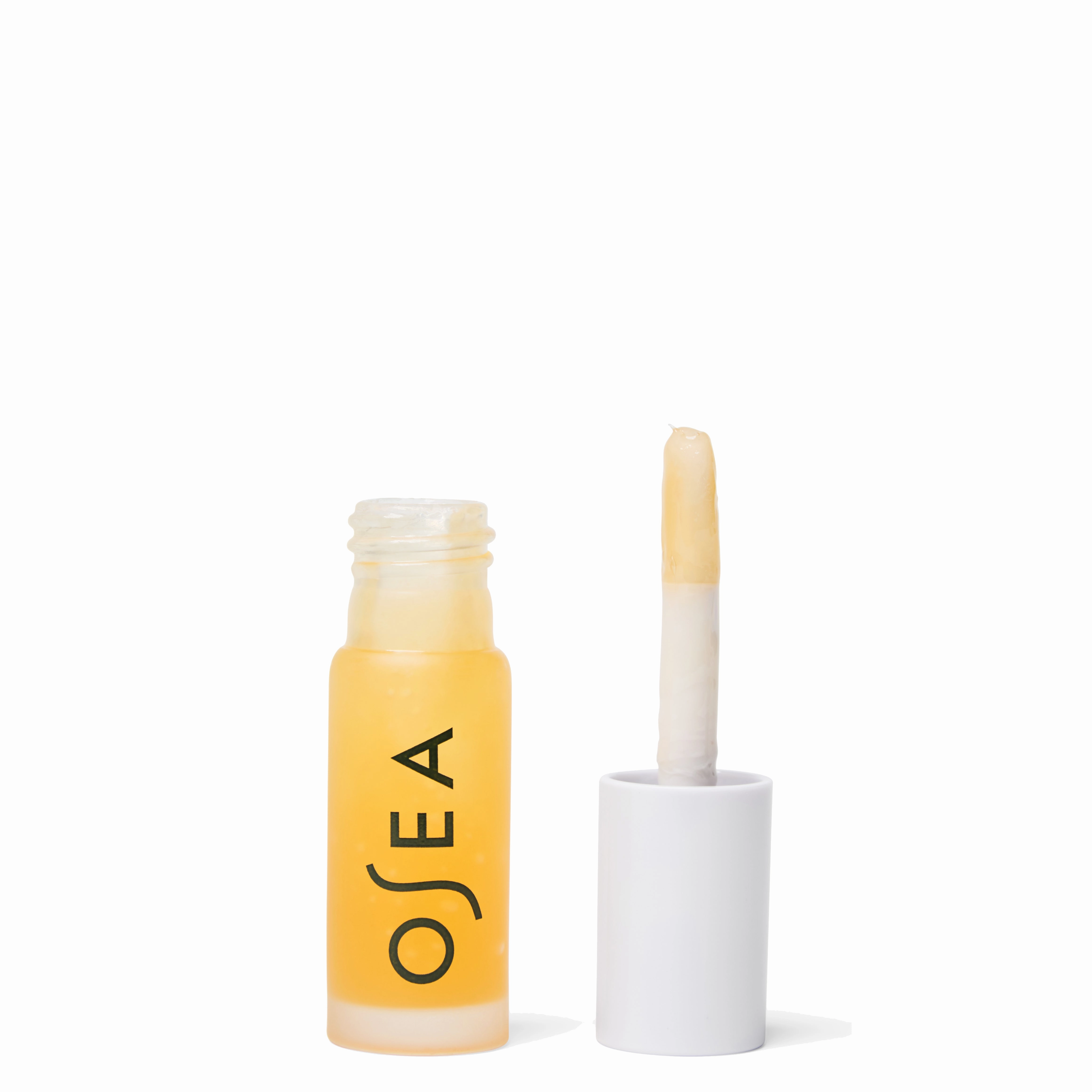 Hyaluronic Acid Lip Booster