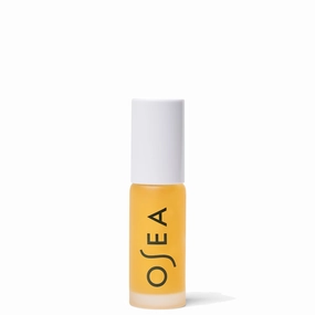 Hyaluronic Acid Lip Booster