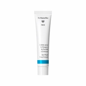 Ice Plant Face Cream, 40 ml