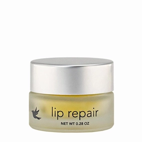 Lip Repair