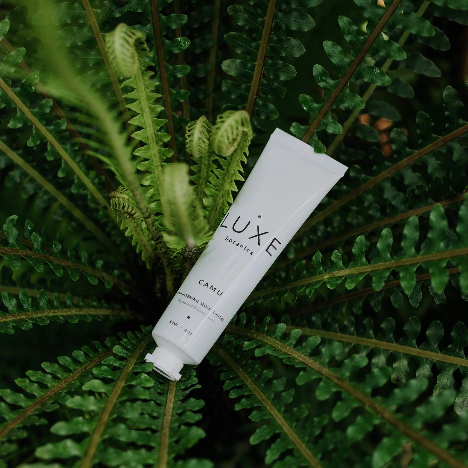 Luxe Botanics Camu Brightening Moisturizer - Helps to Brighten & Even Skintone Organic Camu Camu Berry, Vitamin C, Shea Butter, Avocado and Jojoba Oil (2oz)