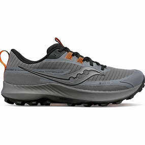Men's Peregrine 13 GTX Batteries Patio Heaters
