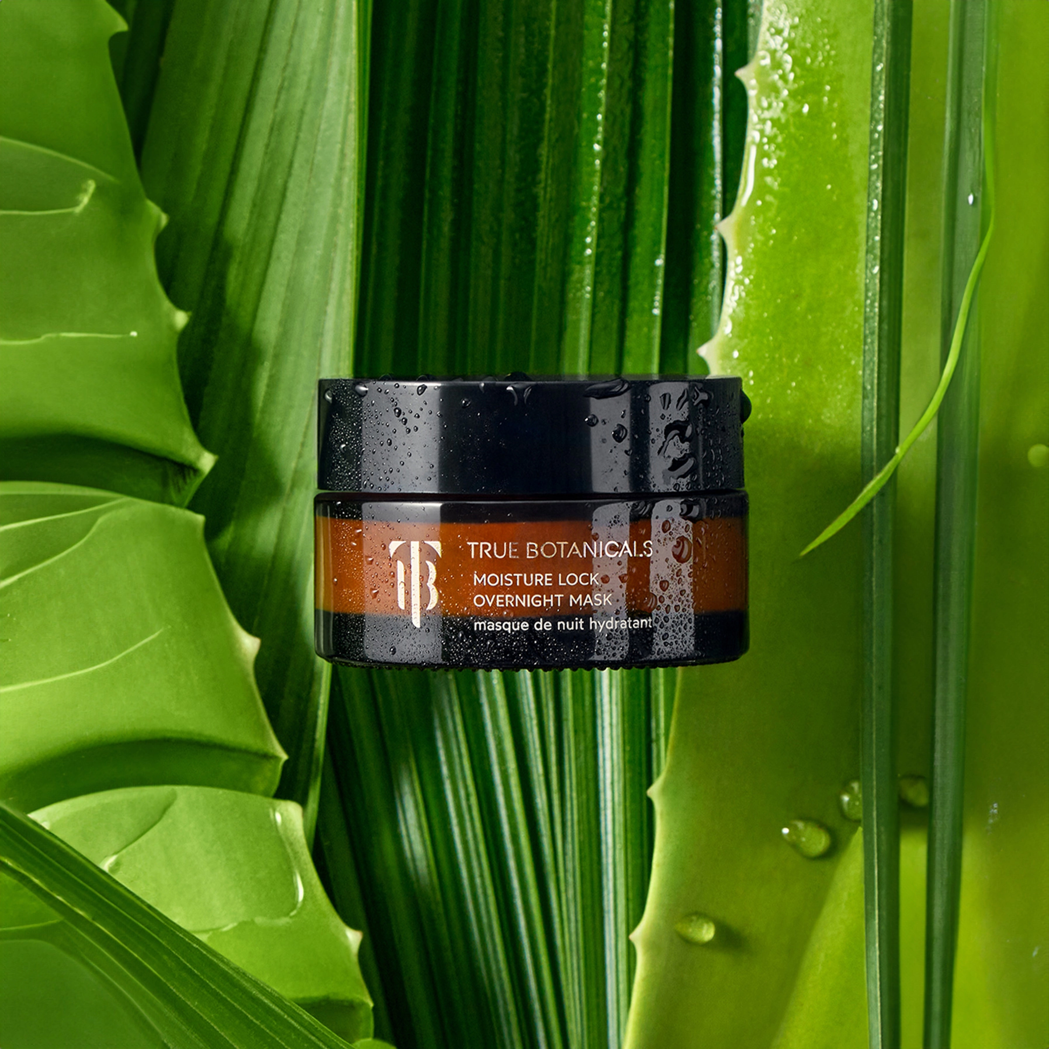Moisture Lock Overnight Mask