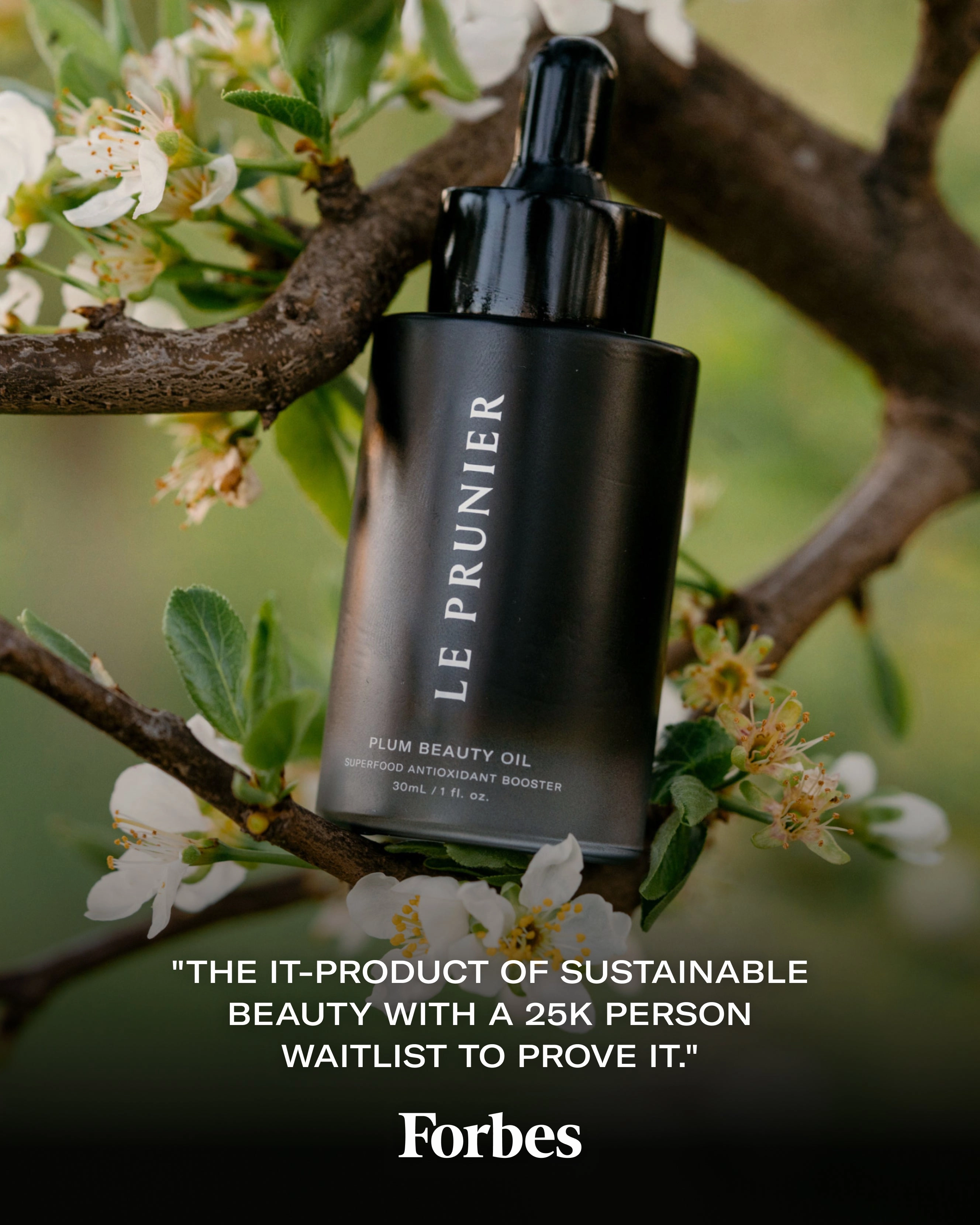 Plum Beauty Oil