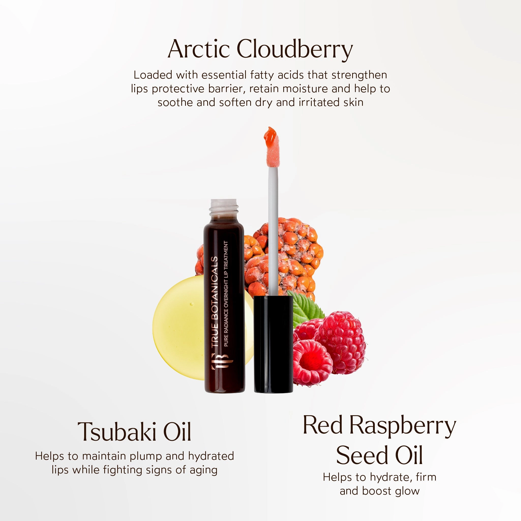 Pure Radiance Overnight Lip Treatment