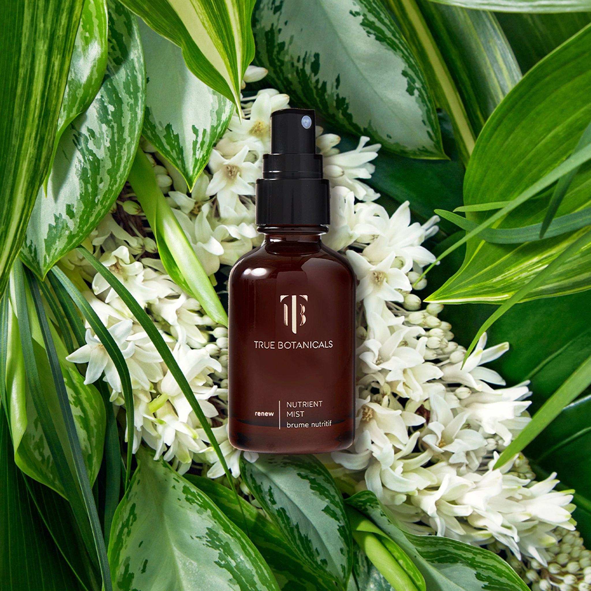 RENEW Nutrient Mist