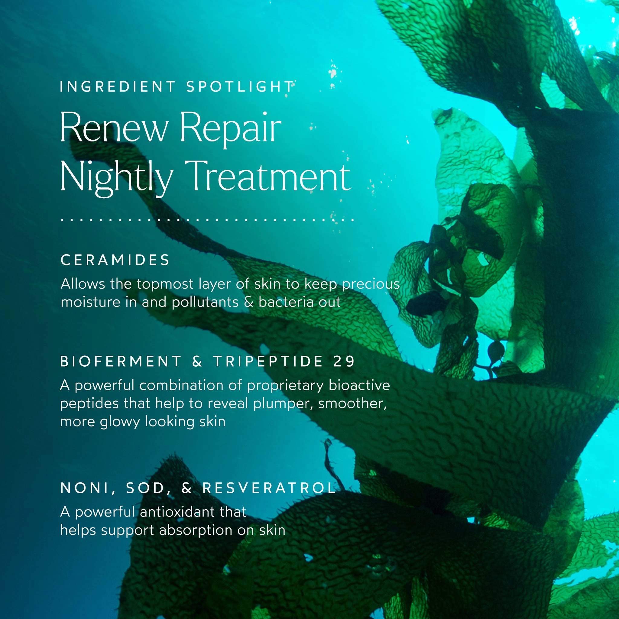 RENEW Repair Nightly Treatment