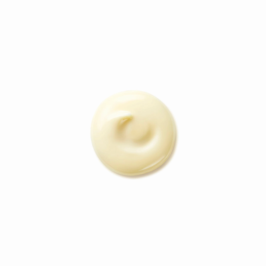 Shiseido Benefiance Wrinkle Smoothing Day Cream