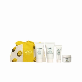 Shiseido Perfect Skin Essentials Set