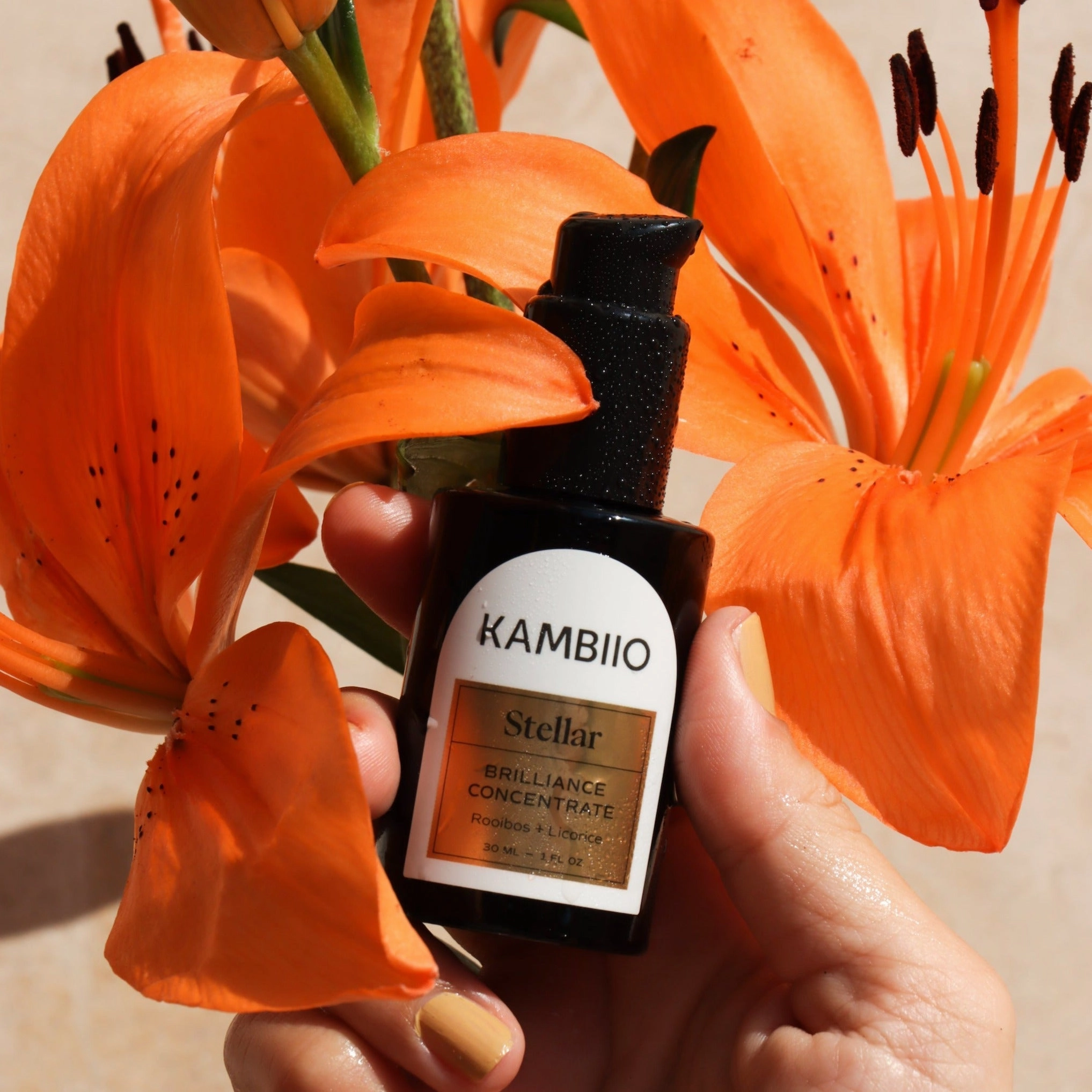 Stellar Brilliance Concentrate