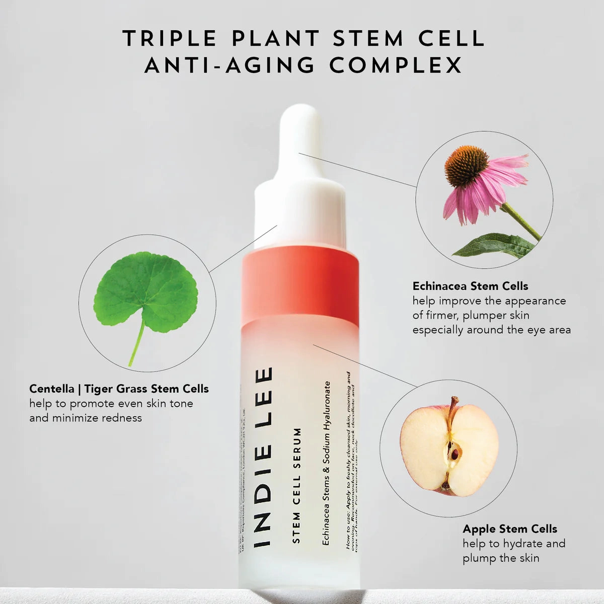 Stem Cell Serum - New Formulation