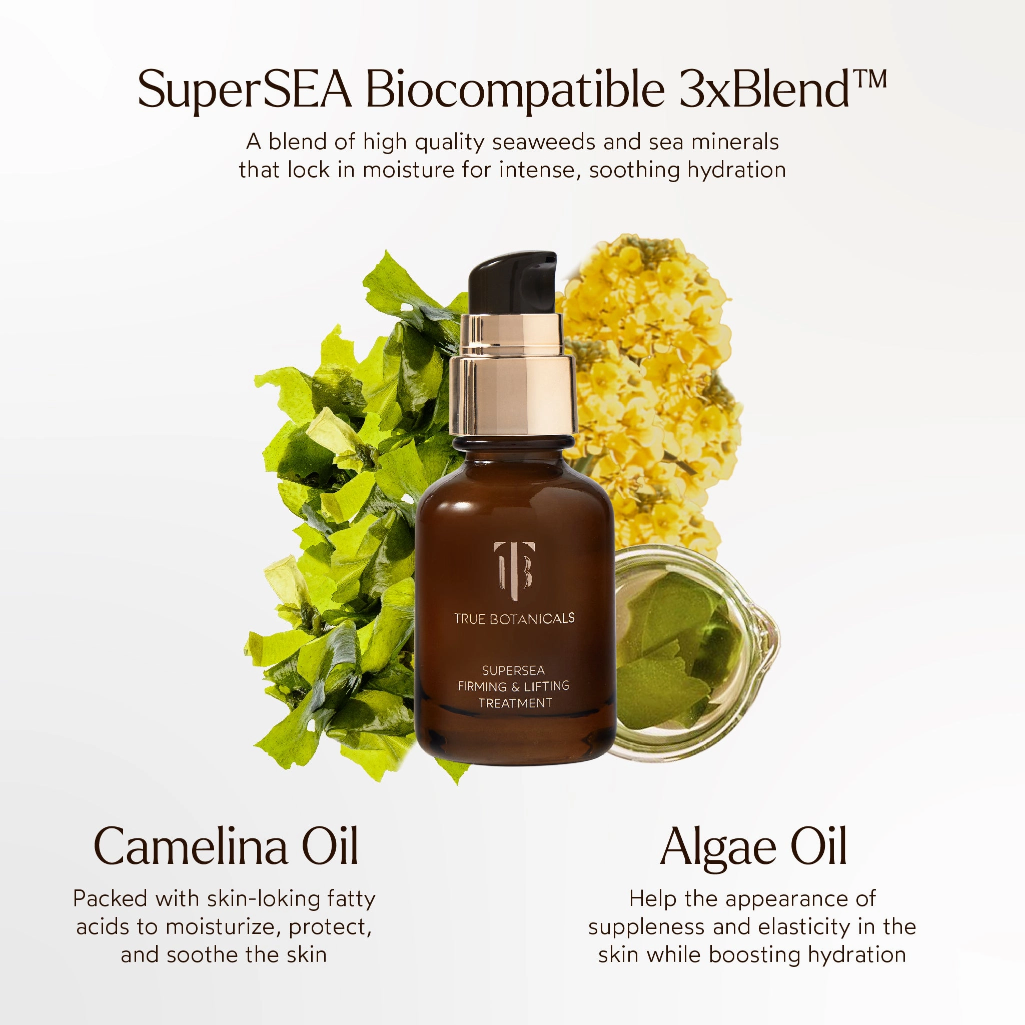 SuperSEA Firming & Lifting Serum