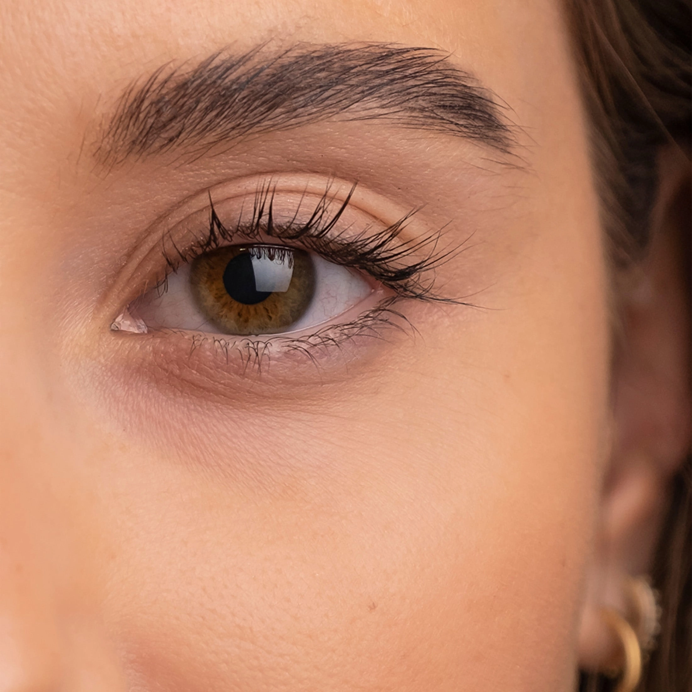 The Brow Serum