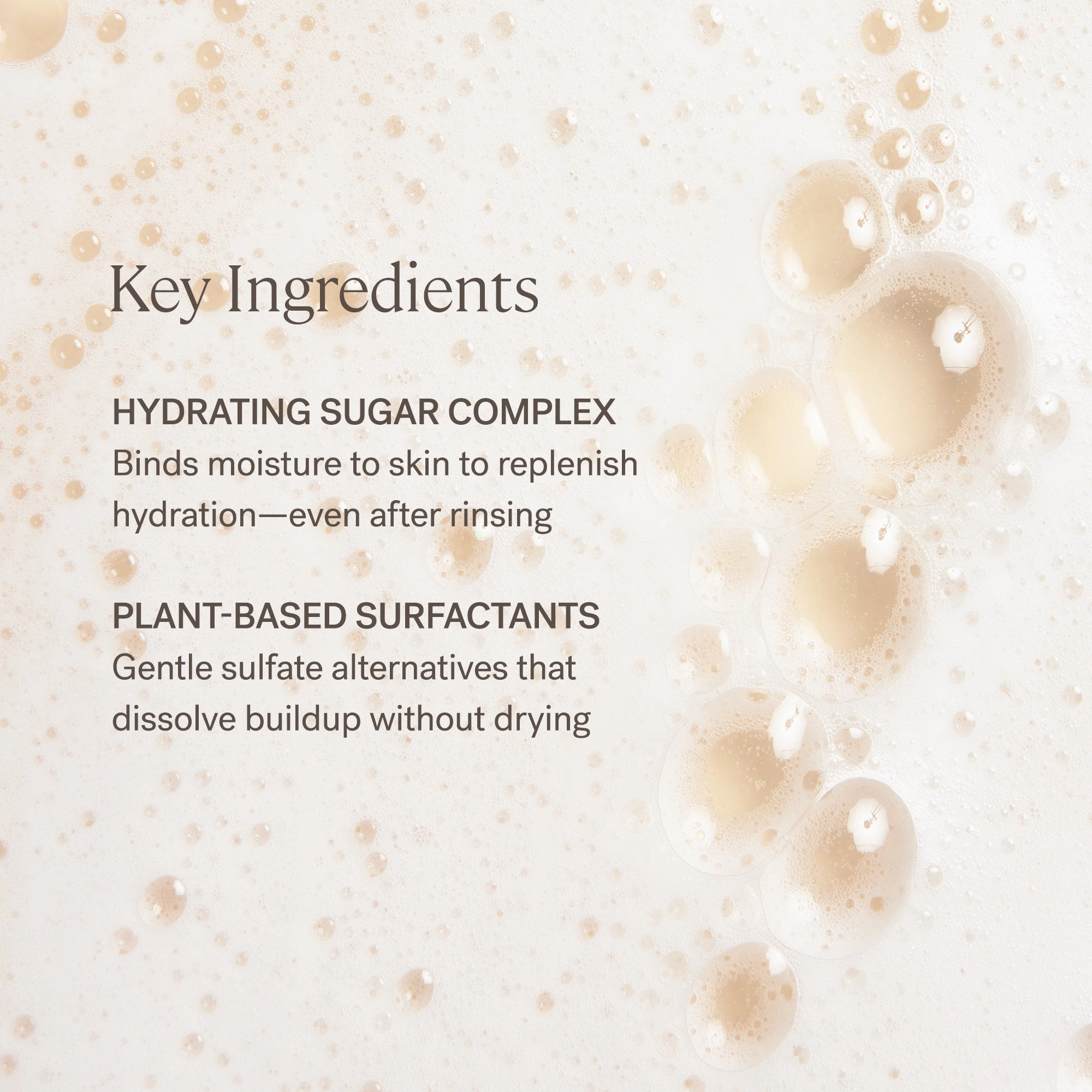 The Cleanse Soft Foaming Cleanser   Makeup Remover